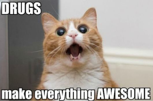 Really Funny Party Animals