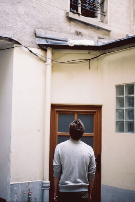 Really Funny Party Animals