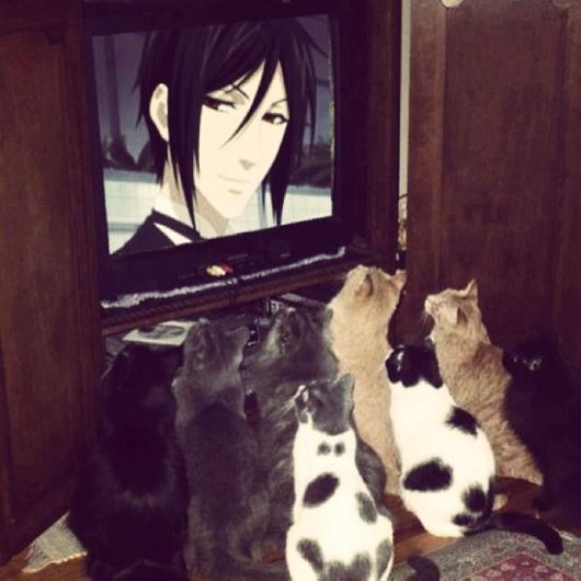 Really Funny Party Animals