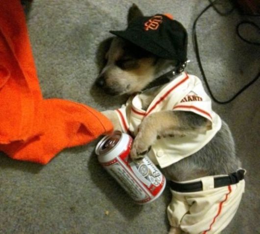 Really Funny Party Animals