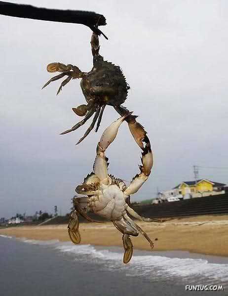 Funny Pics For You To Laugh