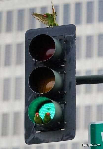 Funny Pics For You To Laugh