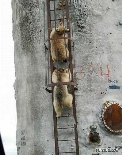 Funny Pics For You To Laugh