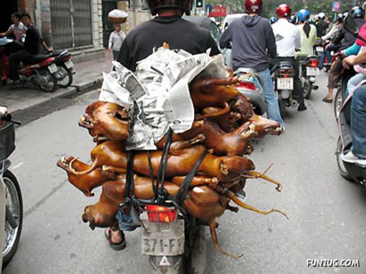 Crazy Transportation Economy In Vietnam
