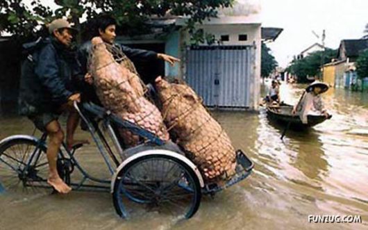 Crazy Transportation Economy In Vietnam
