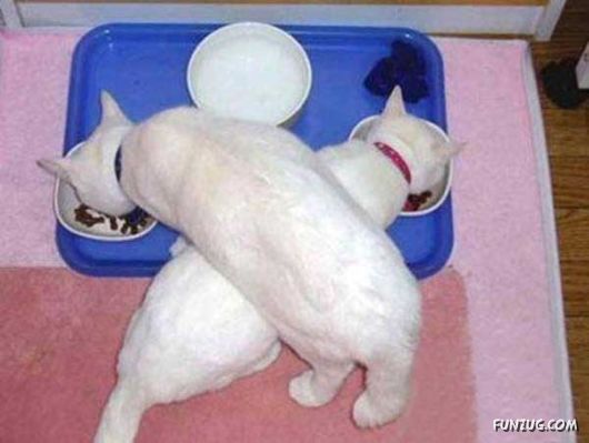 The Extreme of Extremes