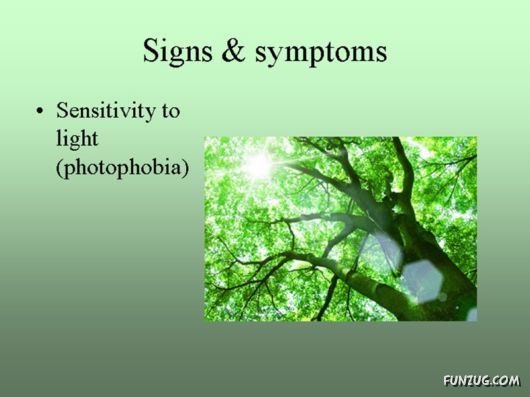 Know Everything About Conjunctivitis