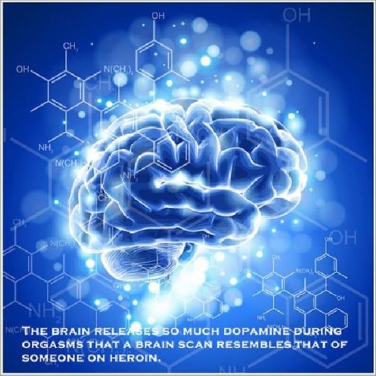 Random Facts To Boost Your General Knowledge