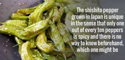 Unbelievable Facts That Will Blow Your Mind