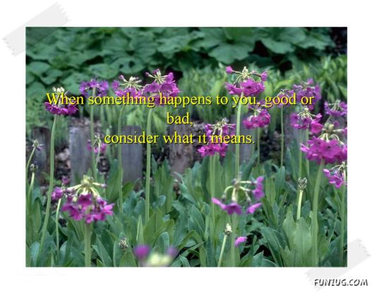 Five Simple Rules to Be Happy