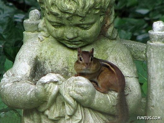 Coolest Miscellaneous Photography