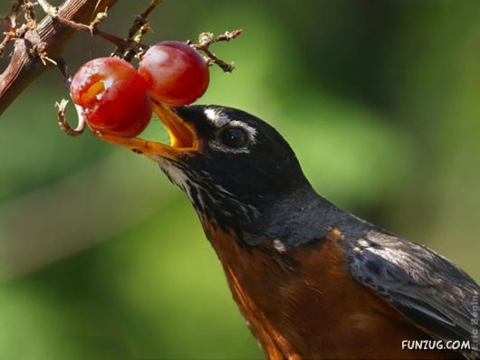 Coolest Miscellaneous Photography