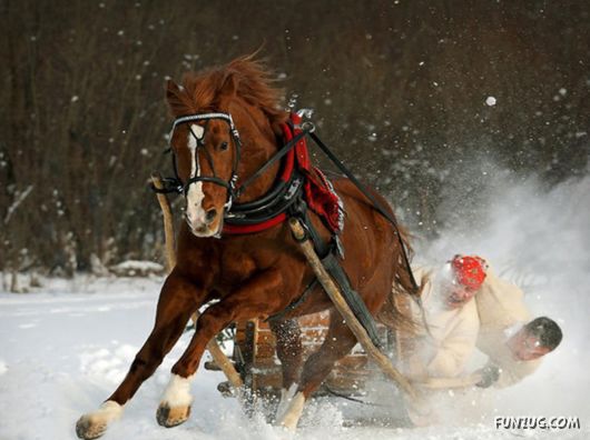 Coolest Miscellaneous Photography