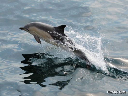 Coolest Miscellaneous Photography