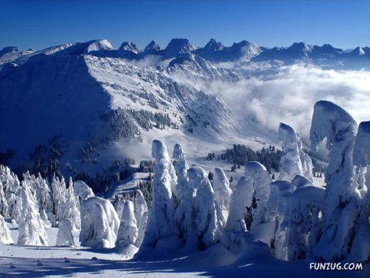 Coolest Miscellaneous Photography