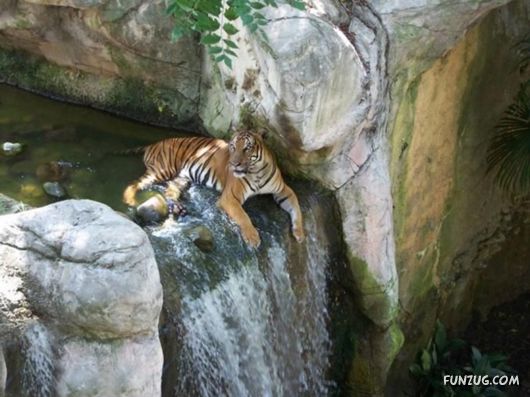 Coolest Miscellaneous Photography