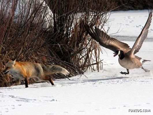 Coolest Miscellaneous Photography