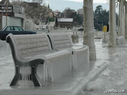 Coolest Miscellaneous Photography