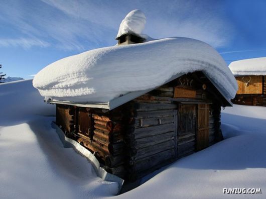 Coolest Miscellaneous Photography