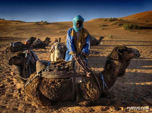 Coolest Miscellaneous Photography