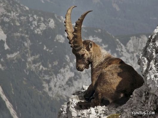 Coolest Miscellaneous Photography