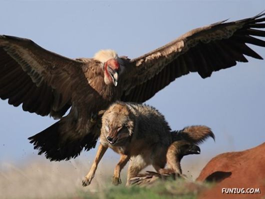 Coolest Miscellaneous Photography