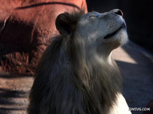 Coolest Miscellaneous Photography