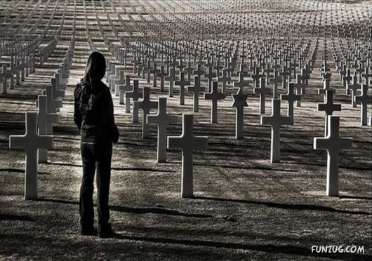 Coolest Miscellaneous Photography