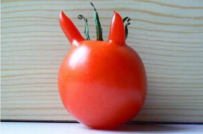 Fruits & Vegetable Festival 2009