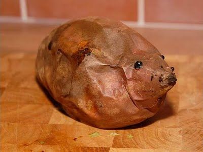 Fruits & Vegetable Festival 2009