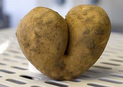 Fruits & Vegetable Festival 2009