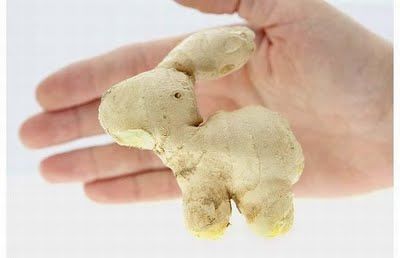 Fruits & Vegetable Festival 2009