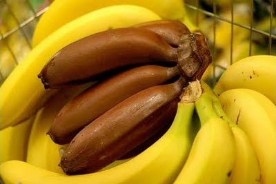 Fruits & Vegetable Festival 2009