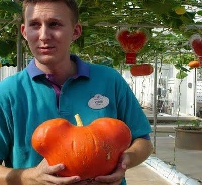 Fruits & Vegetable Festival 2009