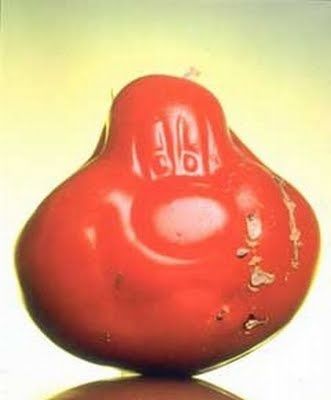 Fruits & Vegetable Festival 2009