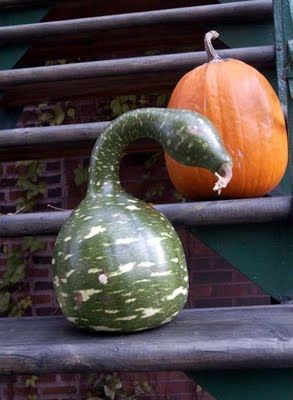 Fruits & Vegetable Festival 2009