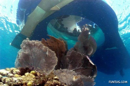 Amazing Xotic Boat Ride