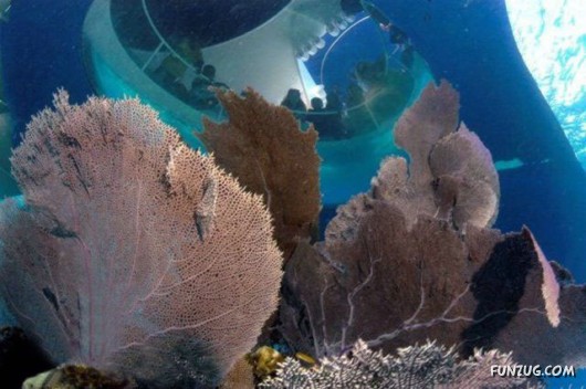 Amazing Xotic Boat Ride