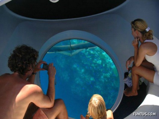 Amazing Xotic Boat Ride