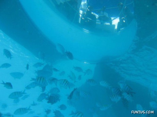 Amazing Xotic Boat Ride