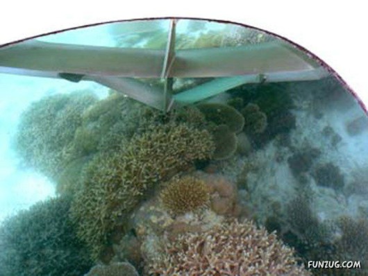 Amazing Xotic Boat Ride