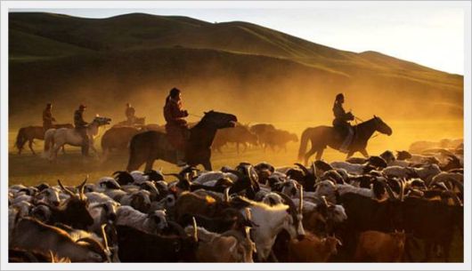 Awesome Tribal Photography by Timothy Alleny