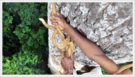 Awesome Tribal Photography by Timothy Alleny