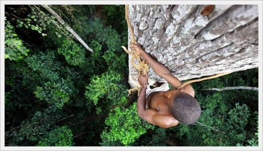 Awesome Tribal Photography by Timothy Alleny