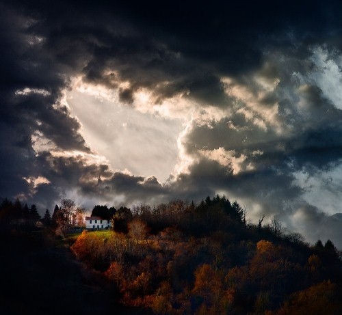 Beauty After The Rain