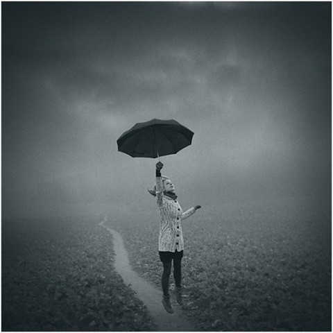 Beauty After The Rain