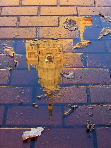 Beauty After The Rain