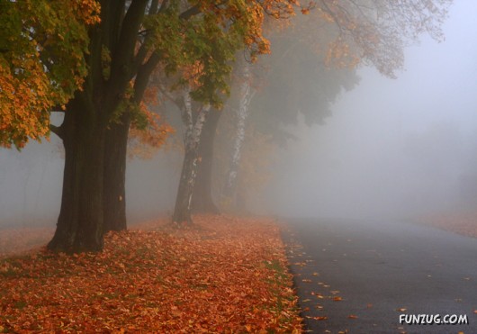 This is What We Call Autumn