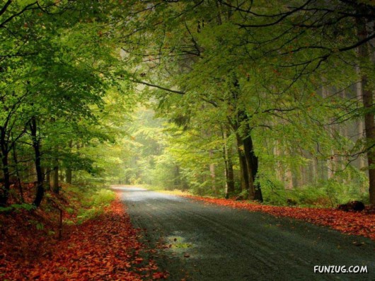 This is What We Call Autumn