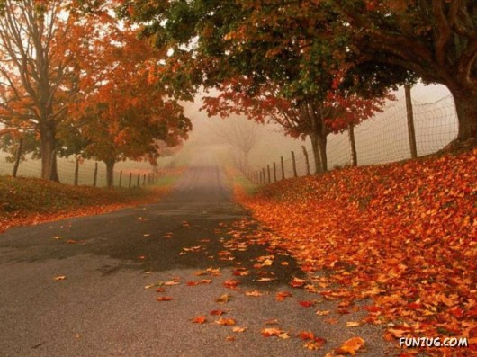 This is What We Call Autumn